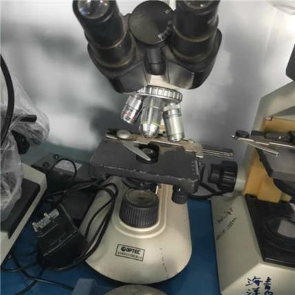 仪器 放大镜 工厂 电子放大镜 高清数码显微镜 真三目测量显微镜产品